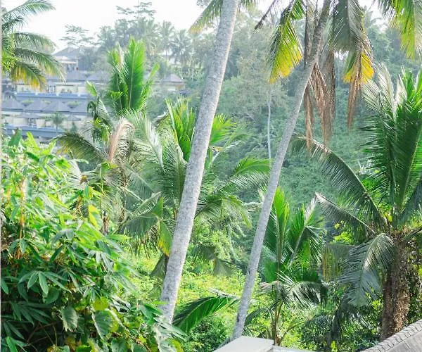 Villa Lerosa Valley Ubud